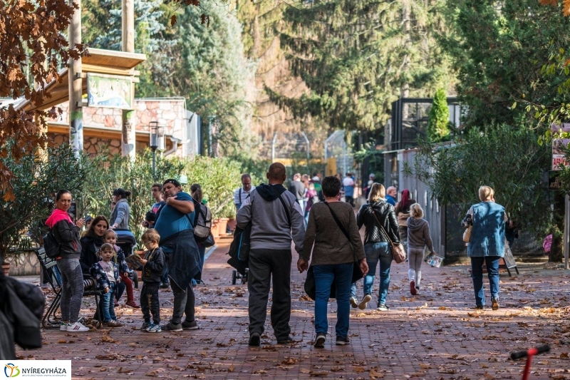 Hosszú hétvégén irány az Állatpark! - fotó Kohut Árpád