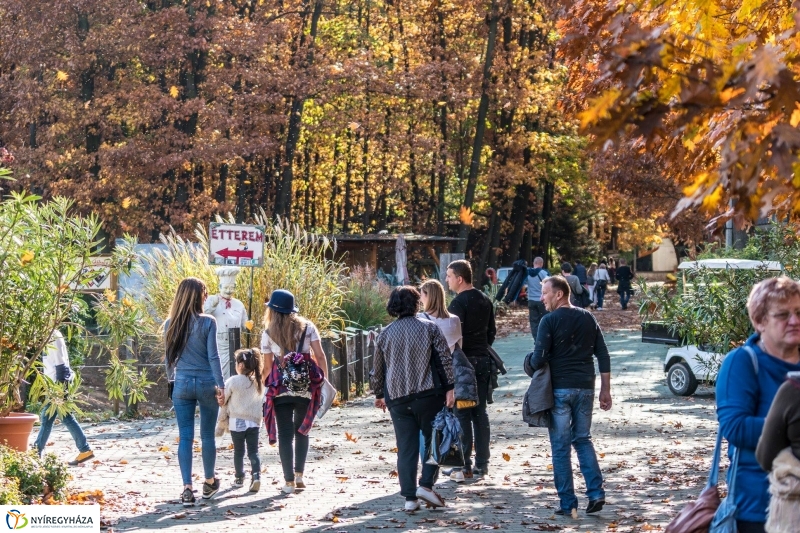 Hosszú hétvégén irány az Állatpark! - fotó Kohut Árpád