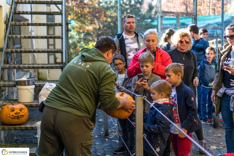 Hosszú hétvégén irány az Állatpark! - fotó Kohut Árpád