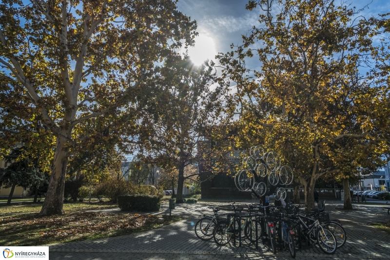 Őszi séta Nyíregyháza belvárosában - fotó Kohut Árpád