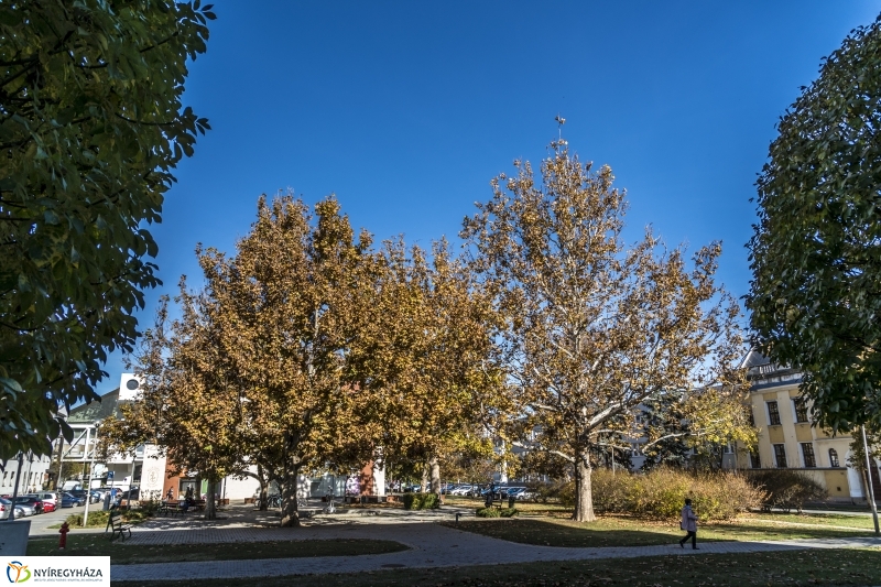 Őszi séta Nyíregyháza belvárosában - fotó Kohut Árpád