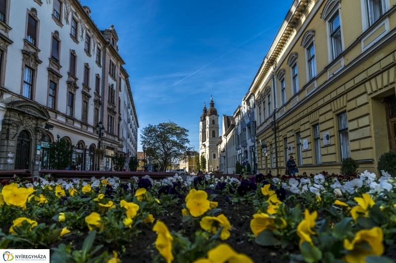 Őszi séta Nyíregyháza belvárosában - fotó Kohut Árpád