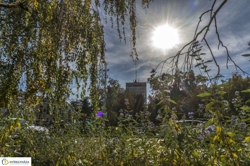 Őszi séta Nyíregyháza belvárosában - fotó Kohut Árpád
