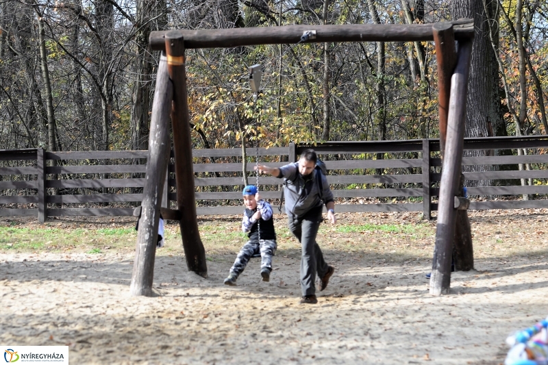 Őszi erdei séta a tavaszias napsütésben - fotó Trifonov Éva
