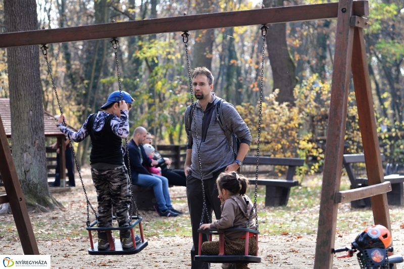 Őszi erdei séta a tavaszias napsütésben - fotó Trifonov Éva