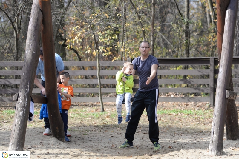 Őszi erdei séta a tavaszias napsütésben - fotó Trifonov Éva