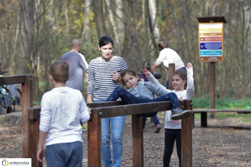 Őszi erdei séta a tavaszias napsütésben - fotó Trifonov Éva