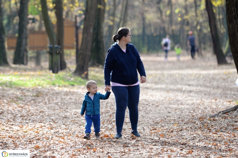 Őszi erdei séta a tavaszias napsütésben - fotó Trifonov Éva