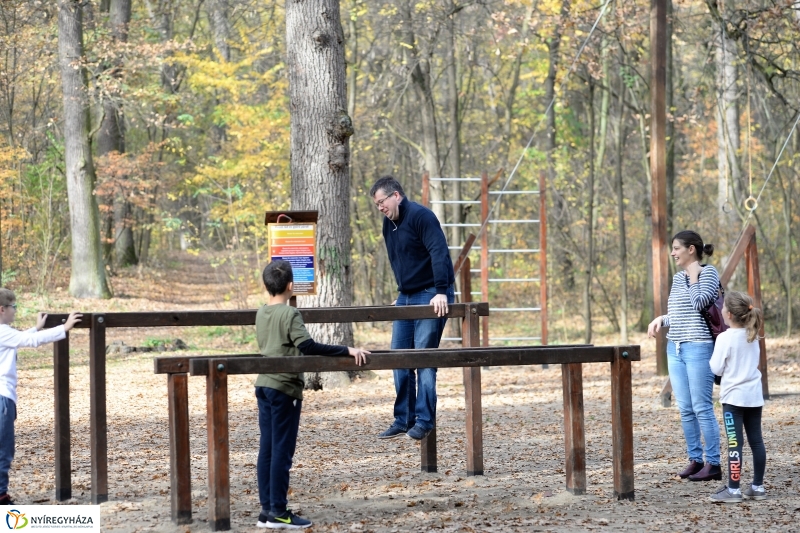 Őszi erdei séta a tavaszias napsütésben - fotó Trifonov Éva