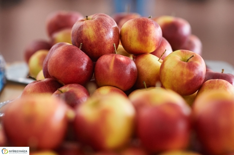 Agrár konferencia az egyetemen - fotó Szarka Lajos