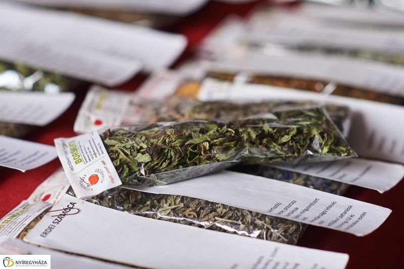 Agrár konferencia az egyetemen - fotó Szarka Lajos