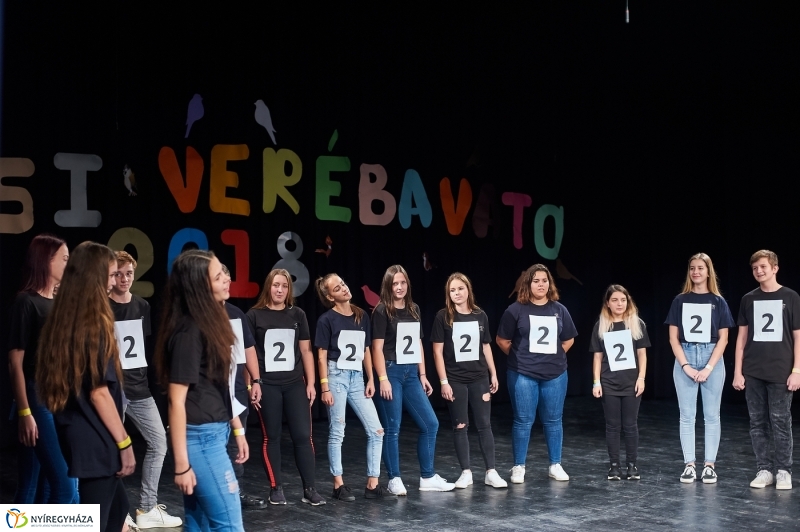 Városi Verébavató 2018 - fotó Szarka Lajos