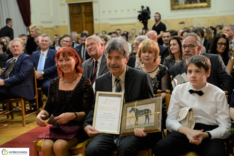 Megyei Prima Gála 2018 - fotó Trifonov Éva