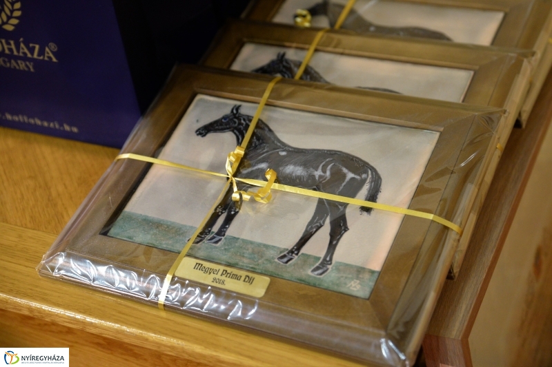 Megyei Prima Gála 2018 - fotó Trifonov Éva