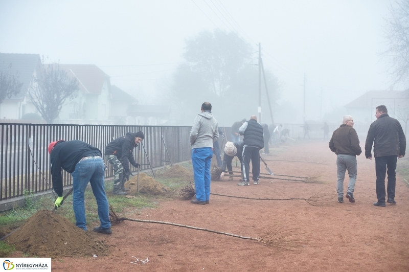 Faültetés Borbányán - fotó Szarka Lajos