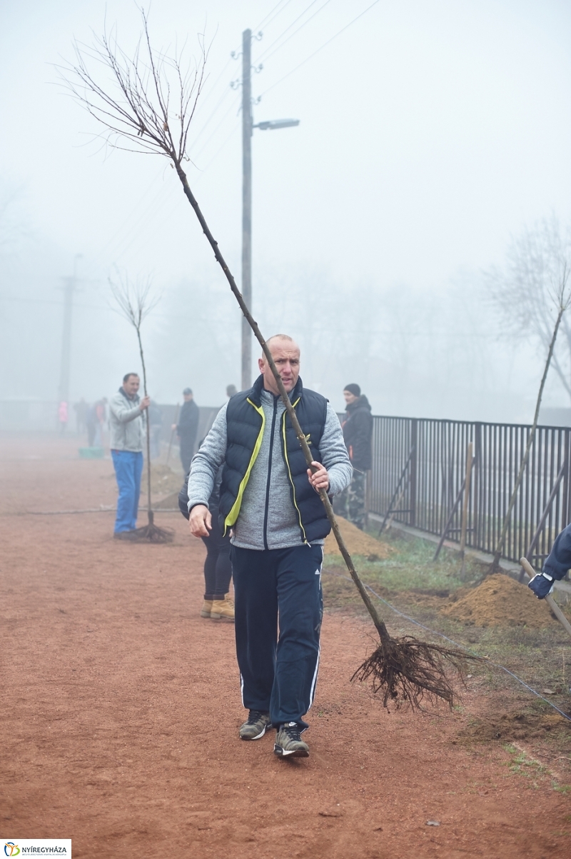 Faültetés Borbányán - fotó Szarka Lajos