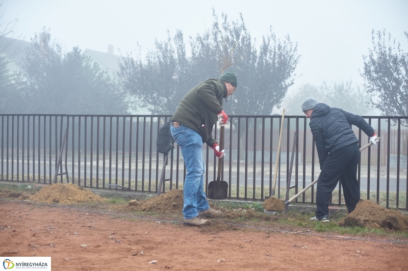 Faültetés Borbányán - fotó Szarka Lajos