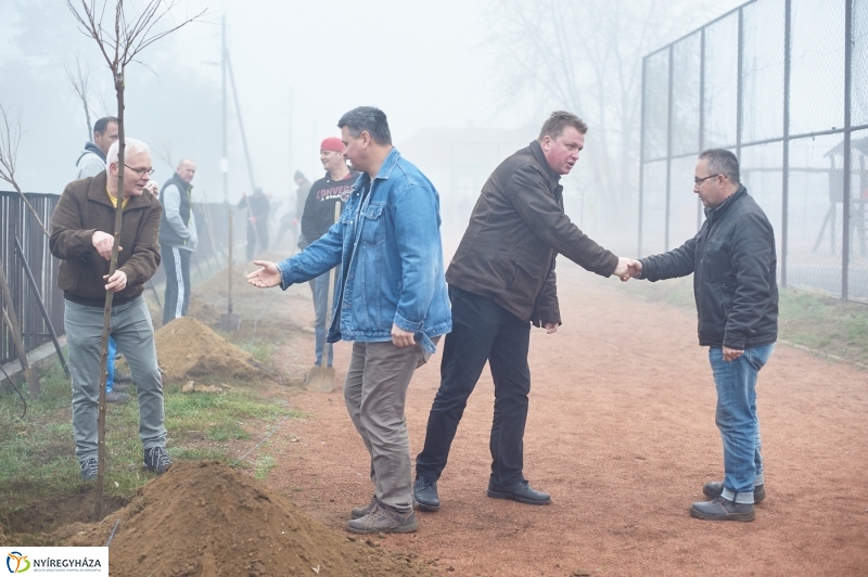 Faültetés Borbányán - fotó Szarka Lajos