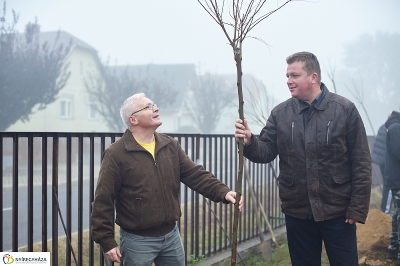 Faültetés Borbányán - fotó Szarka Lajos