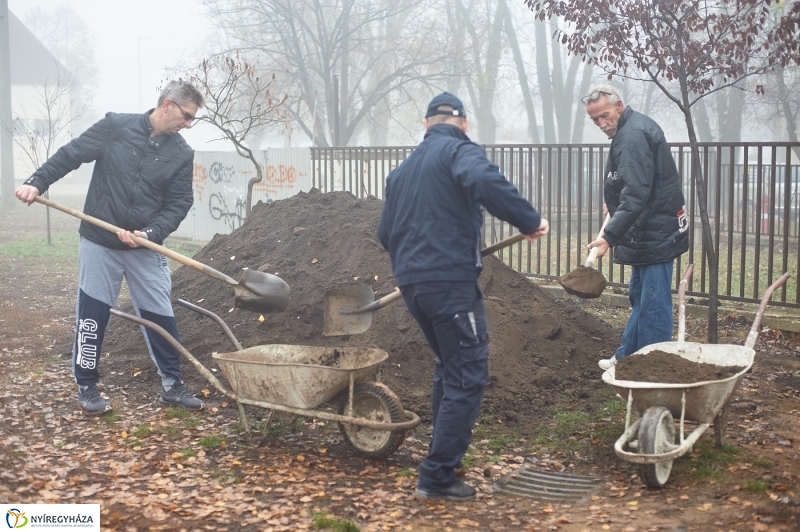 Faültetés Borbányán - fotó Szarka Lajos