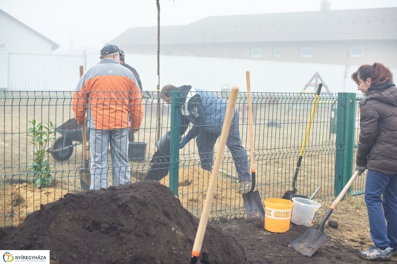 Faültetés Borbányán - fotó Szarka Lajos