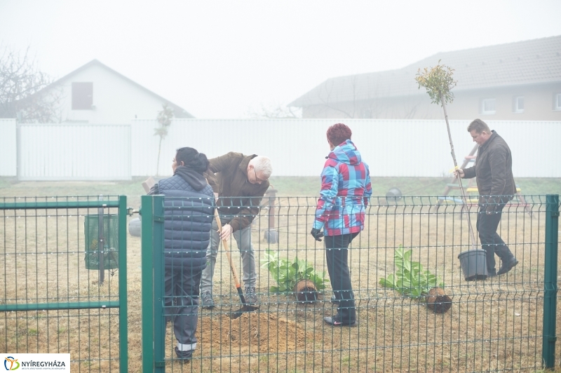 Faültetés Borbányán - fotó Szarka Lajos