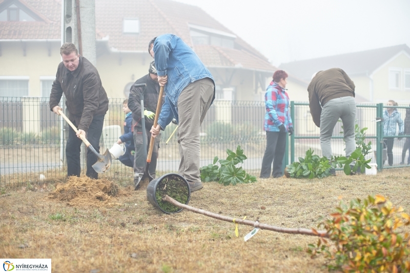 Faültetés Borbányán - fotó Szarka Lajos