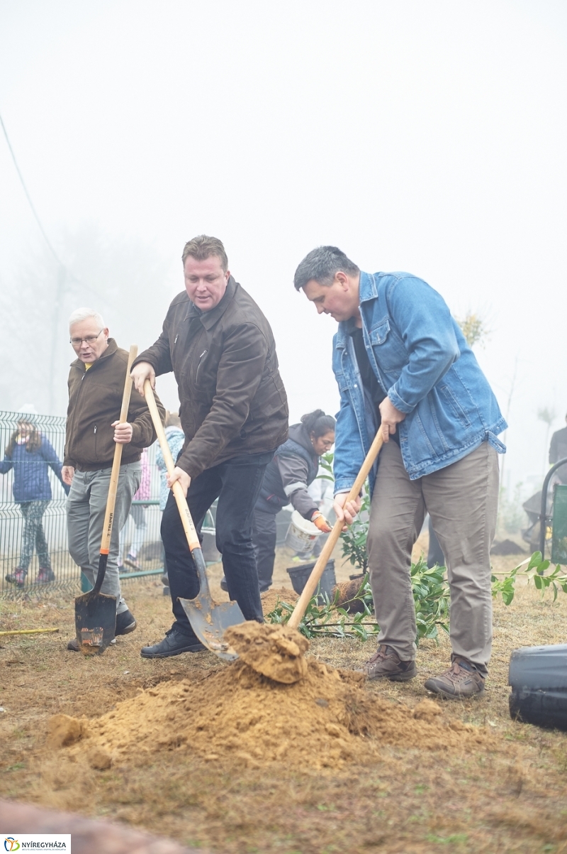 Faültetés Borbányán - fotó Szarka Lajos