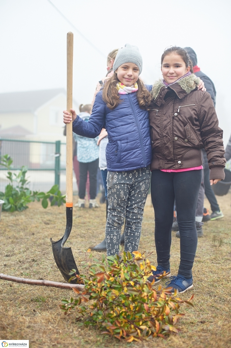 Faültetés Borbányán - fotó Szarka Lajos
