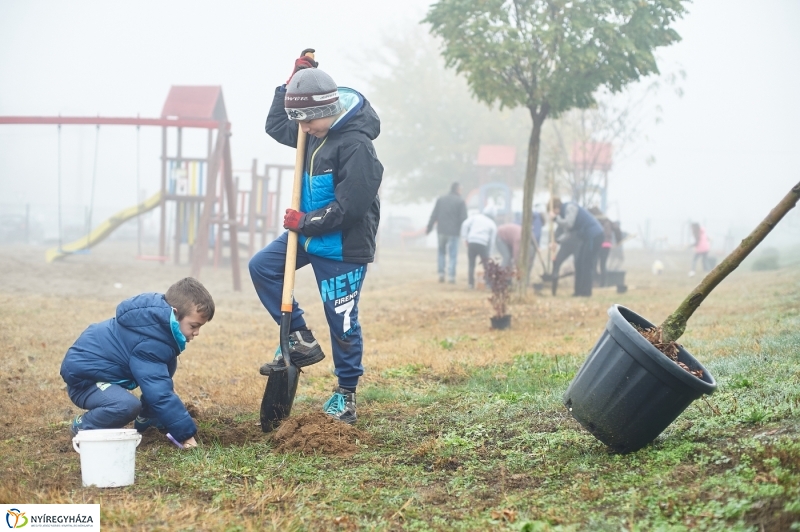 Faültetés Borbányán - fotó Szarka Lajos