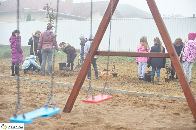 Faültetés Borbányán - fotó Szarka Lajos