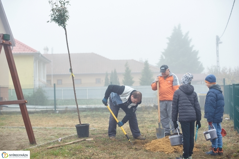 Faültetés Borbányán - fotó Szarka Lajos