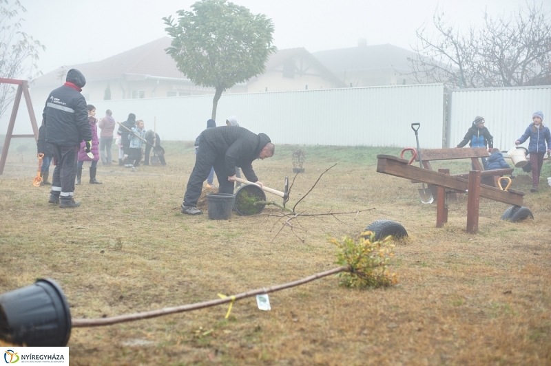 Faültetés Borbányán - fotó Szarka Lajos