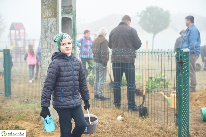 Faültetés Borbányán - fotó Szarka Lajos