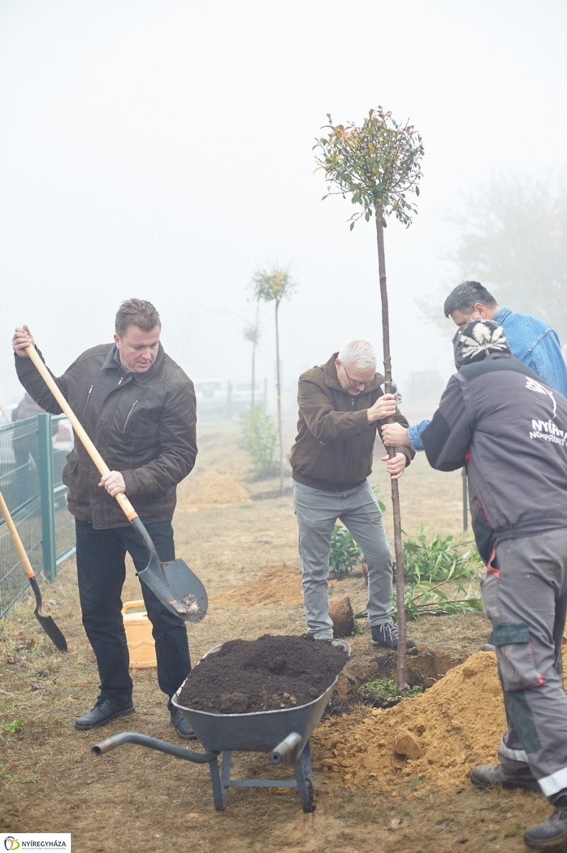 Faültetés Borbányán - fotó Szarka Lajos
