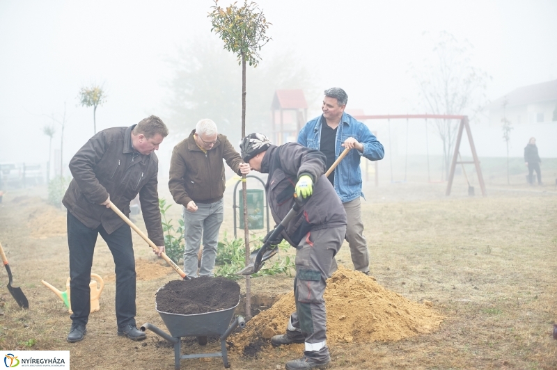 Faültetés Borbányán - fotó Szarka Lajos