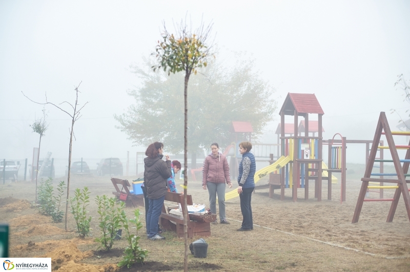 Faültetés Borbányán - fotó Szarka Lajos