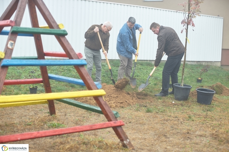 Faültetés Borbányán - fotó Szarka Lajos