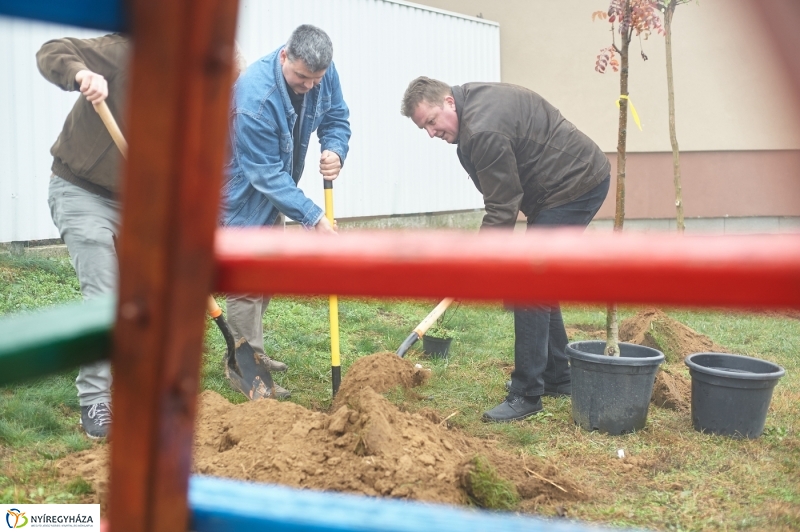 Faültetés Borbányán - fotó Szarka Lajos