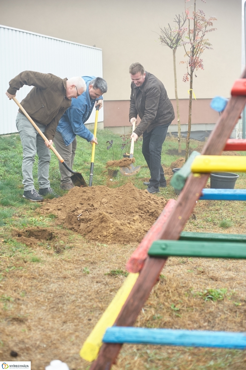 Faültetés Borbányán - fotó Szarka Lajos