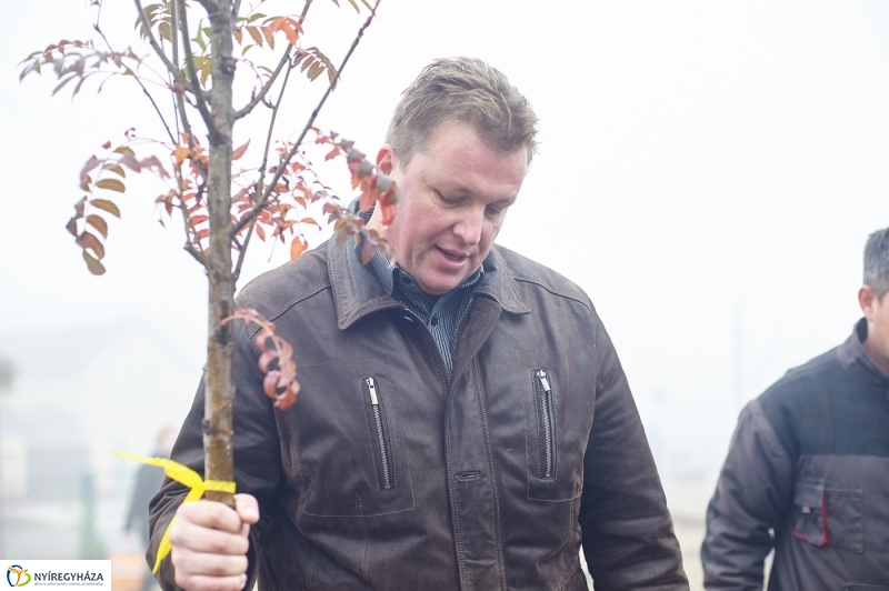Faültetés Borbányán - fotó Szarka Lajos