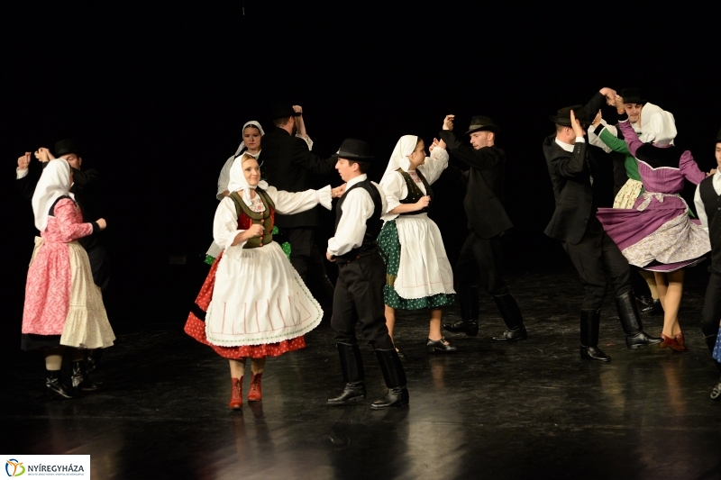 Az Állatbarát Alapítvány javára táncoltak - fotó Trifonov Éva