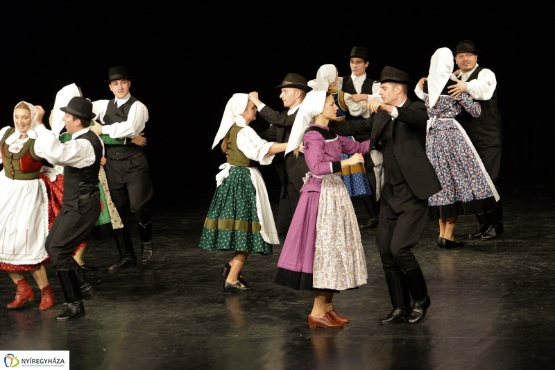 Az Állatbarát Alapítvány javára táncoltak - fotó Trifonov Éva