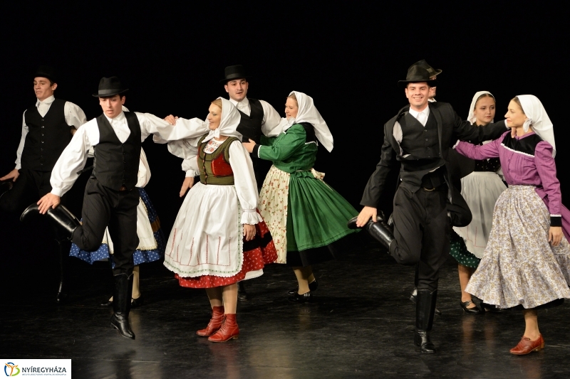 Az Állatbarát Alapítvány javára táncoltak - fotó Trifonov Éva