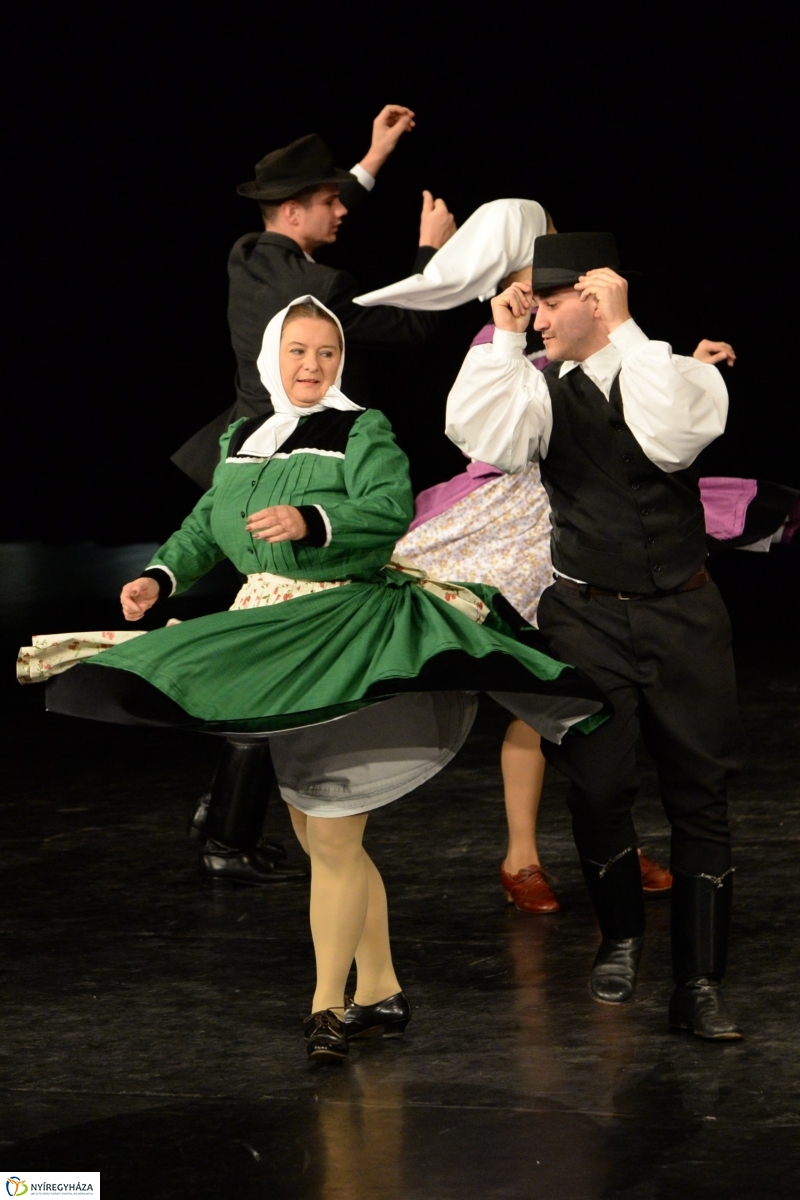 Az Állatbarát Alapítvány javára táncoltak - fotó Trifonov Éva