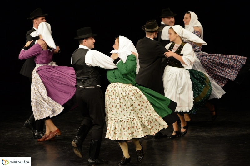 Az Állatbarát Alapítvány javára táncoltak - fotó Trifonov Éva