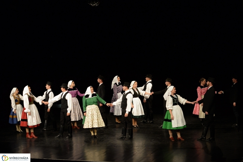 Az Állatbarát Alapítvány javára táncoltak - fotó Trifonov Éva