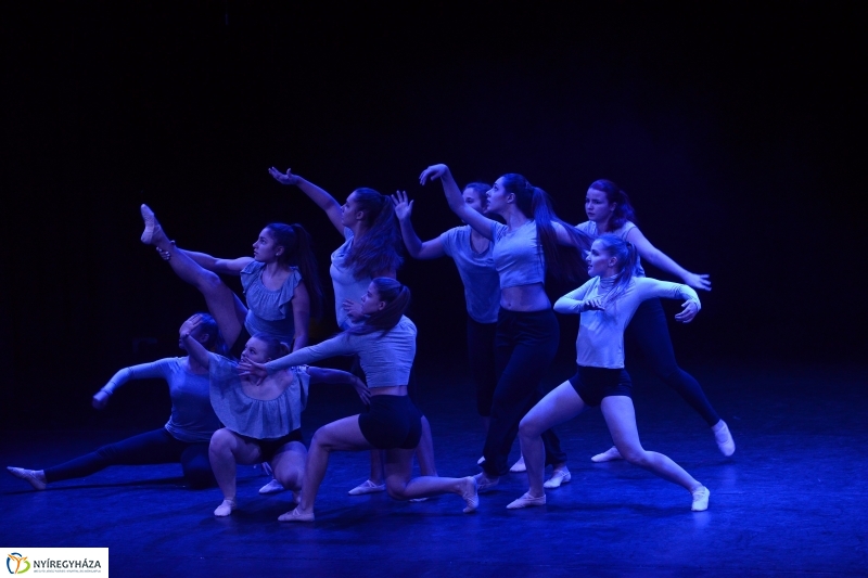 Az Állatbarát Alapítvány javára táncoltak - fotó Trifonov Éva