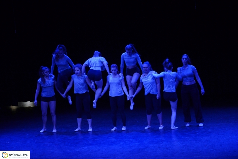 Az Állatbarát Alapítvány javára táncoltak - fotó Trifonov Éva