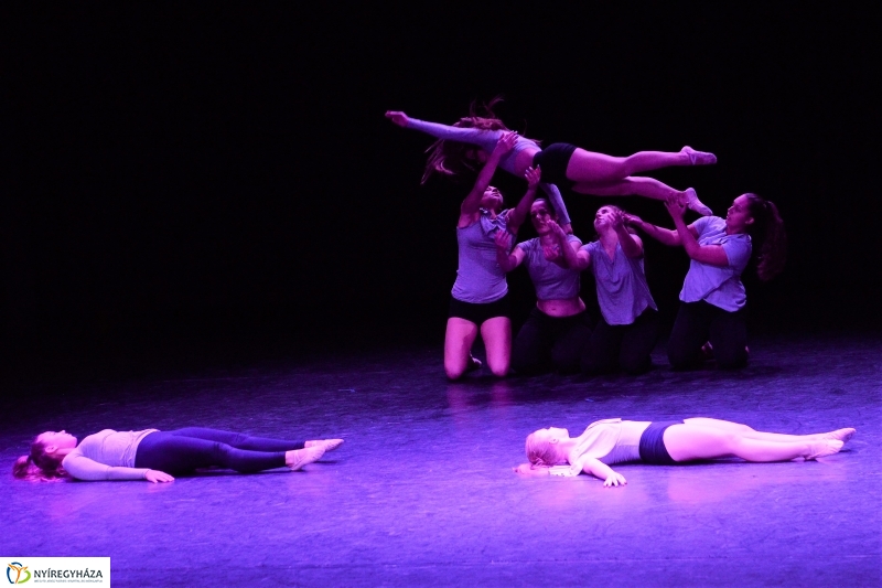 Az Állatbarát Alapítvány javára táncoltak - fotó Trifonov Éva